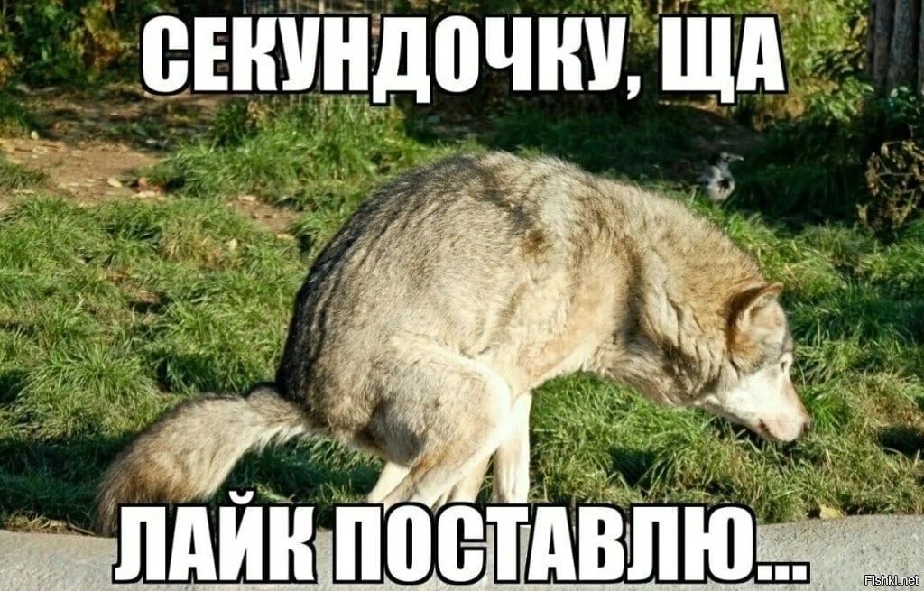 ь _ ПАИШПШЫТШВМЮЩ