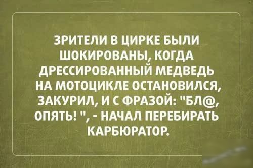 зрители в цирк выпи ШОКИРОВАНЫ КОГДА диссигомииый мвдвгдь нд мотоцикл остдновимя здкурил и ФРАЗОЙ БЛ опять НАЧАЛ ПЕРЕБИРАТЬ кдрвюрдтор дг