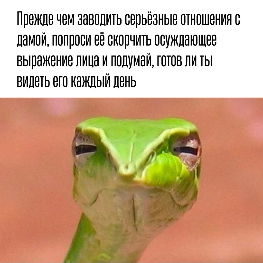 ППЕЖЛЕ ЧЕМ ЗНВПЛИТЬ БЕПЬЕЗНЫЕ ОТНОШЕНИЯ Е ПНМПИ ПППППЕИ ЕЕ ЖОПЧИТЬ ПВУЖЛЕЮШЕЕ БЫПВЖЕИИЕ ЛИЦЕ И ПОЦУМБИ ЮЮВ ЛИ ЧЫ ВИДЕТЬ ВГП КЕЖЛЫИ ЛЕНЬ