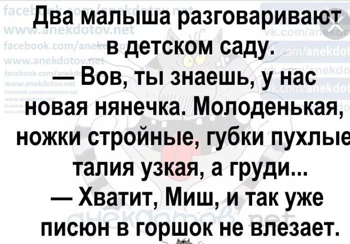 Два малыша разговаривают в детском саду Вов ты знаешь у нас новая нянечка Молоденькая ножки стройные губки пухлые талия узкая а груди Хватит Миш и так уже писюн в горъурк не влезает