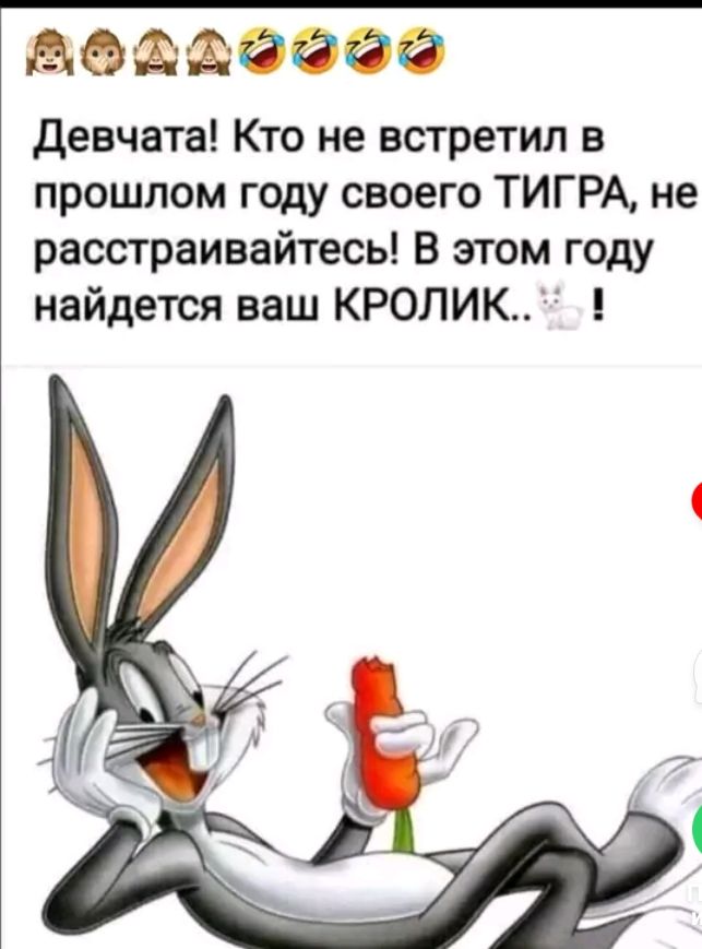 ОЁЁФОЭФ девчата Кто не встретил в прошлом году своего ТИГРА не расстраивайтесь В этом году найдется ваш КРОЛИК