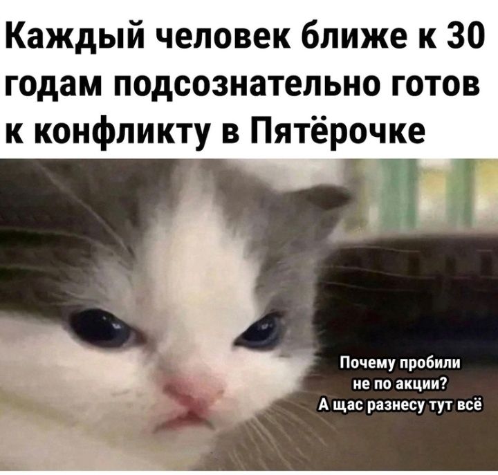 Каждый человек ближе к 30 годам подсознательно готов к конфликту в Пятёрочке _ Почему пробили ие на мини А с рпиесу тут все