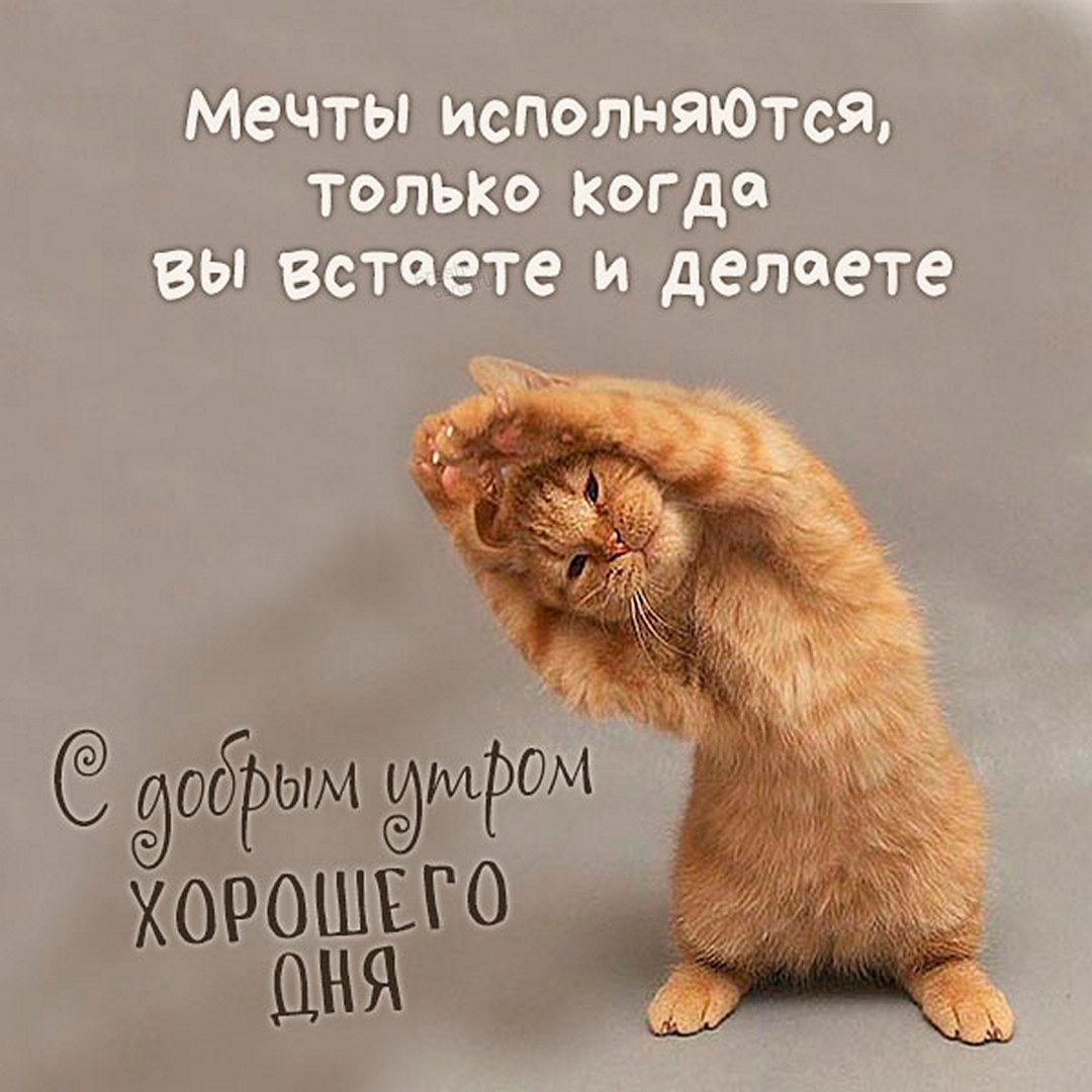 ч исполнвютш кагда вы инете и дети добрым 090 О