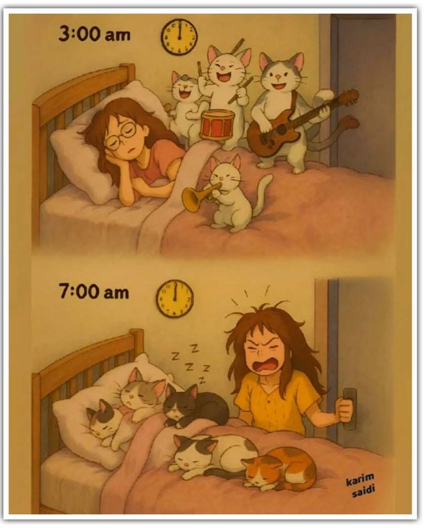 3:00 am
7:00 am