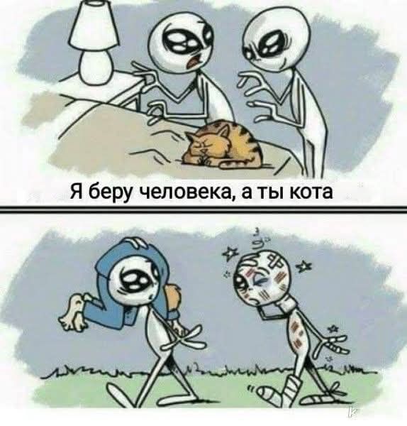 Я беру человека, а ты кота