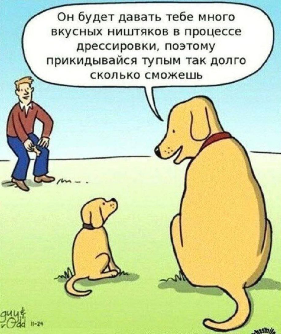 Он будет давать тебе много вкусных ништяков в процессе дрессировки, поэтому прикладывайся тылом так долго сколько сможешь.