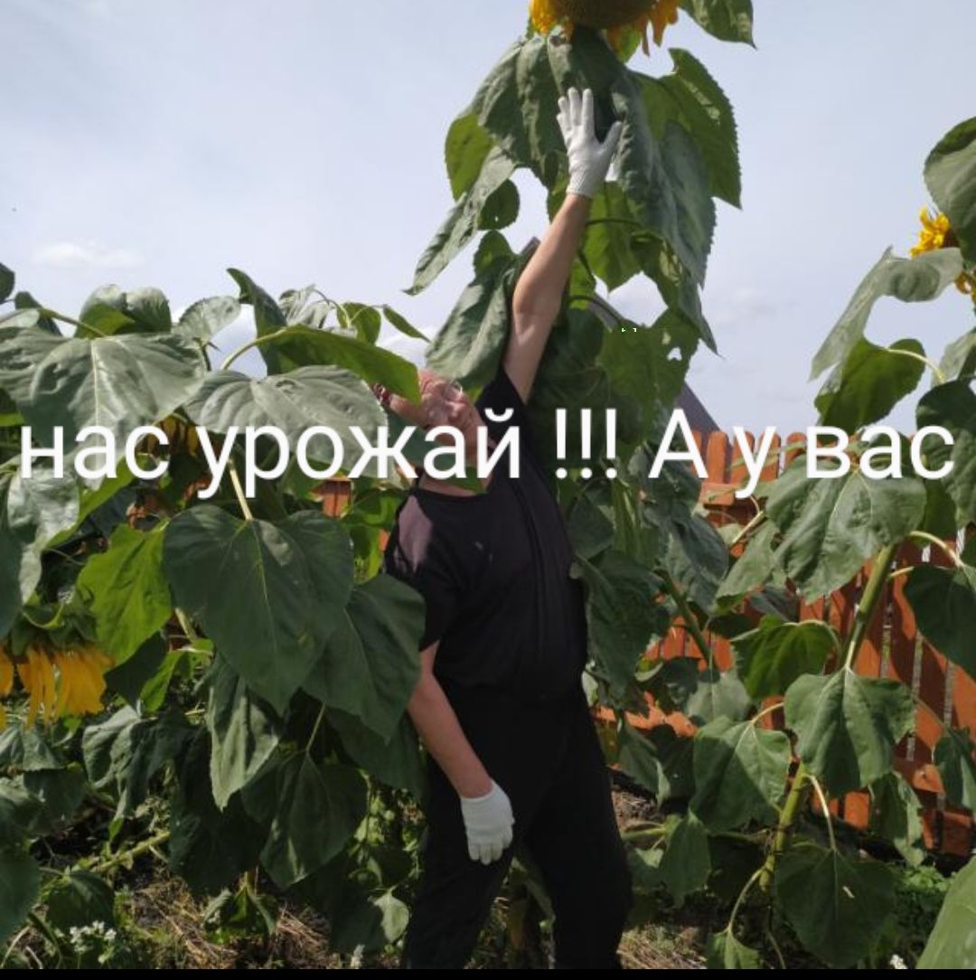 иш ППКБс еэ в Фото профиля 1 С А