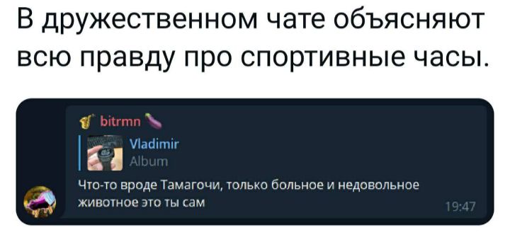 В дружественном чате объясняют всю правду про спортивные часы е