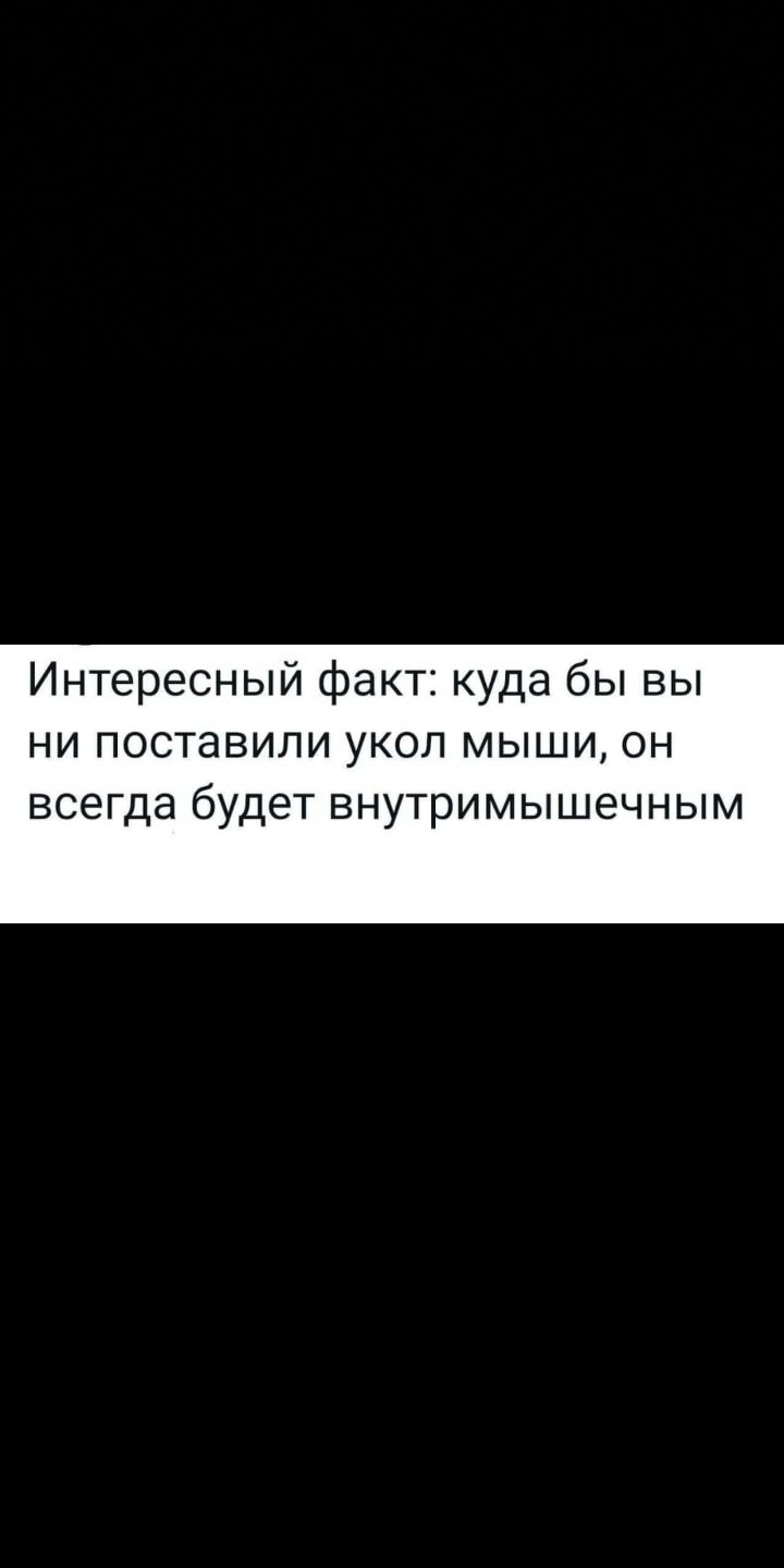 Интересный факт куда бы вы ни поставили укол мыши он всегда будет внутримышечным