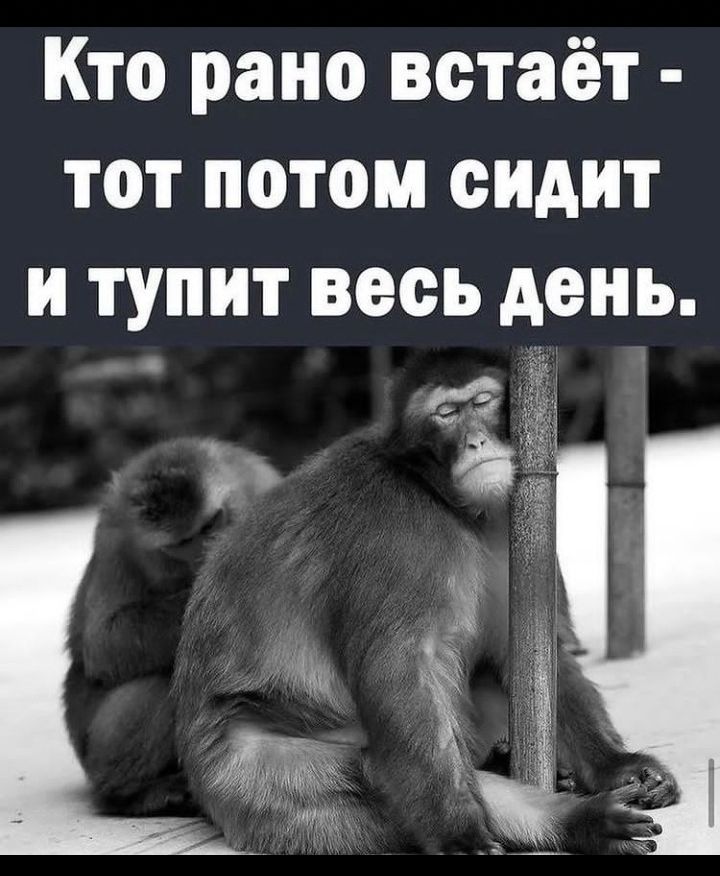 Кто рано встаёт тот потом сидит и тупит весь день а