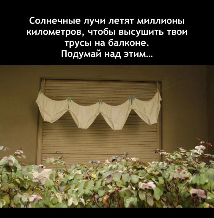 Солнечные лучи летят миллионы километров чтобы высушить твои трусы на балконе Подумай над этим