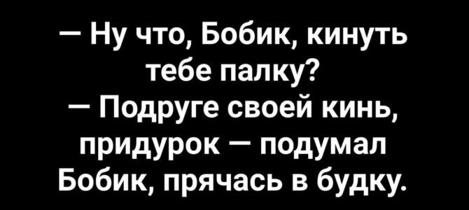 Ну что Бобик кинуть тебе палку Подруге своей кинь придурок подумал Бобик прячась в будку