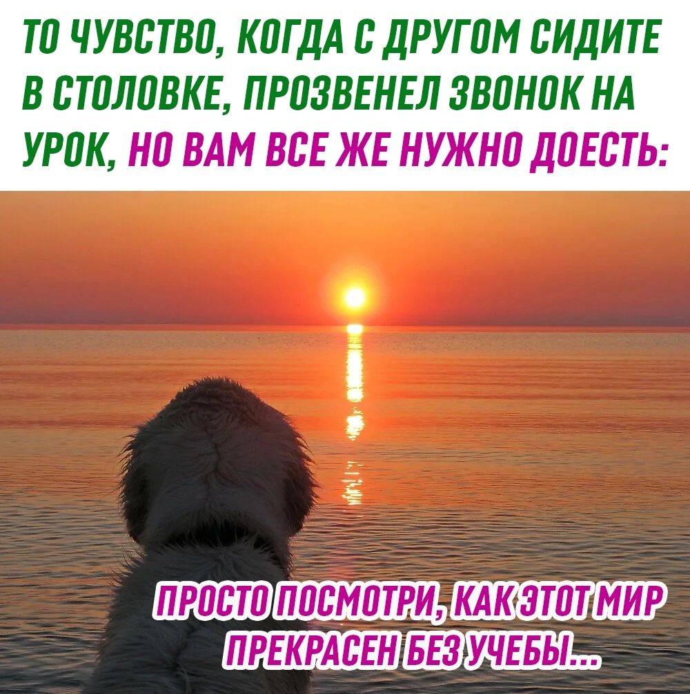 ТП ЧУВСТВИ КПГДА Б ДРУГ ПМ СИДИТЕ В БТПЛПБКЕ ПРПЗВЕНЕЛ ЗВПНПК НА УРПК НП ВАМ ВСЕ ЖЕ НУЖНП ЛПЕБТЬ щи