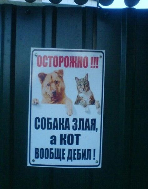 ШРШНЫ 1 МБМШ ЗИМ а нот ВППБЩЕ дЕБИЛ