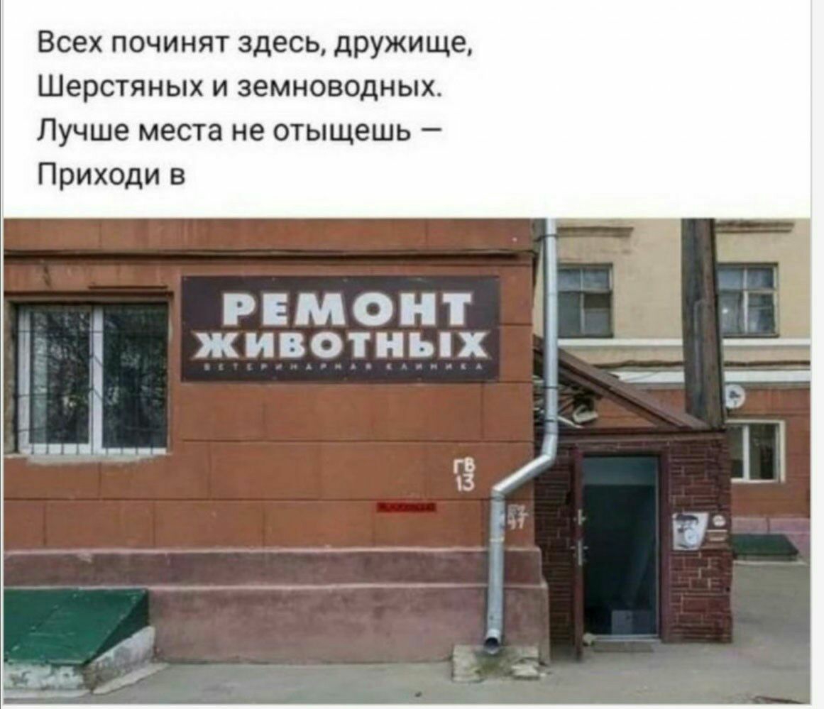 Ремонт животных