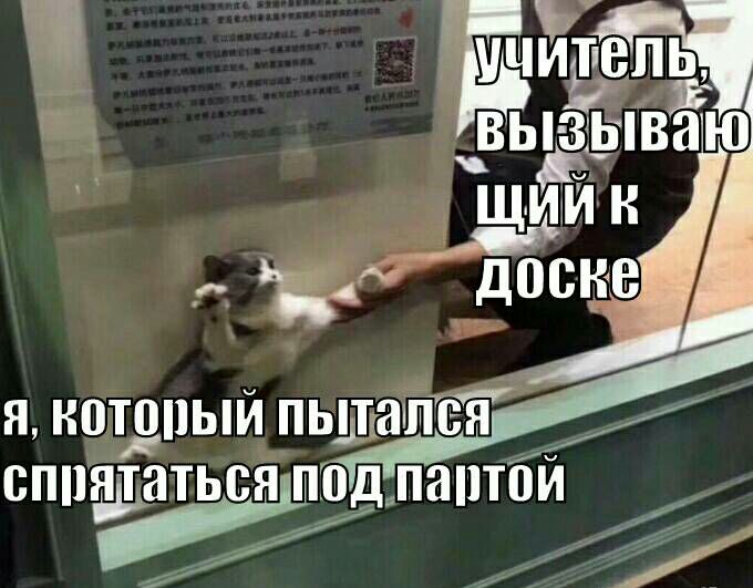 я нотдпый пьщашвй спшдатьсяподлаптбй _