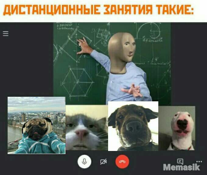 ШПИНЦИПННЫЕ ШНЯТИЯ ТАКИЕ