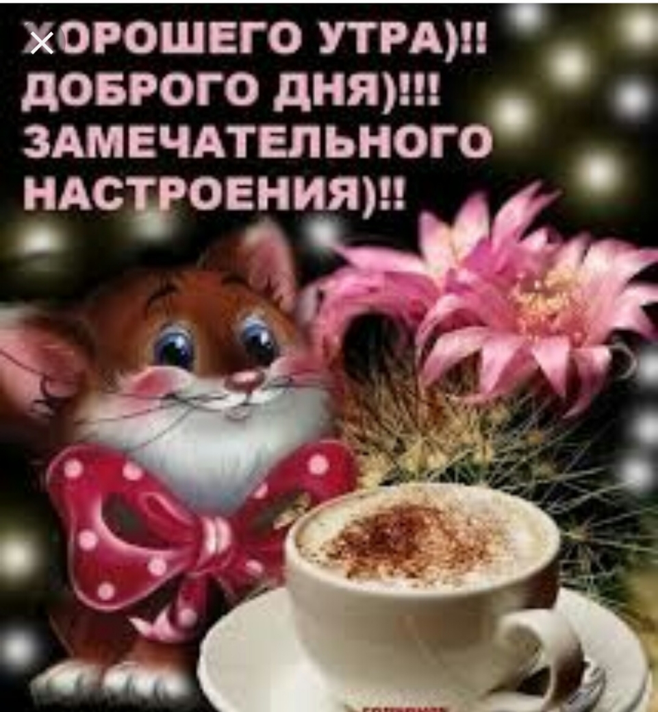 ХОРОШЕГО УТРА дОБРОГО дНЯ ЗАМЕЧАТЕЛЬНОГО НАСОЕНИЯ2