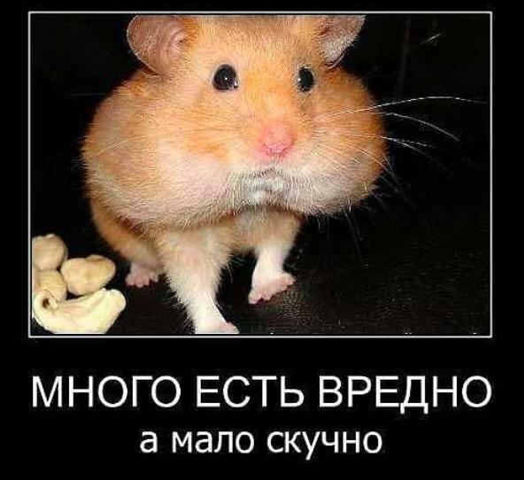 а и а МНОГО ЕСТЬ ВРЕДНО а мало скучно
