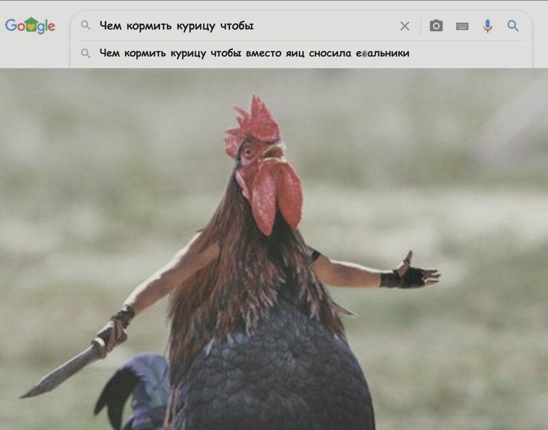 л ч щ в ч щ
