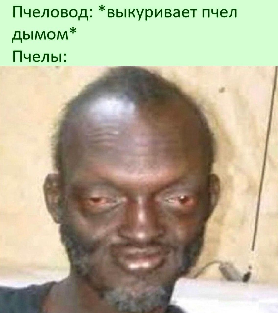 Пчеловод выкуривает пчел дымом Пчелы