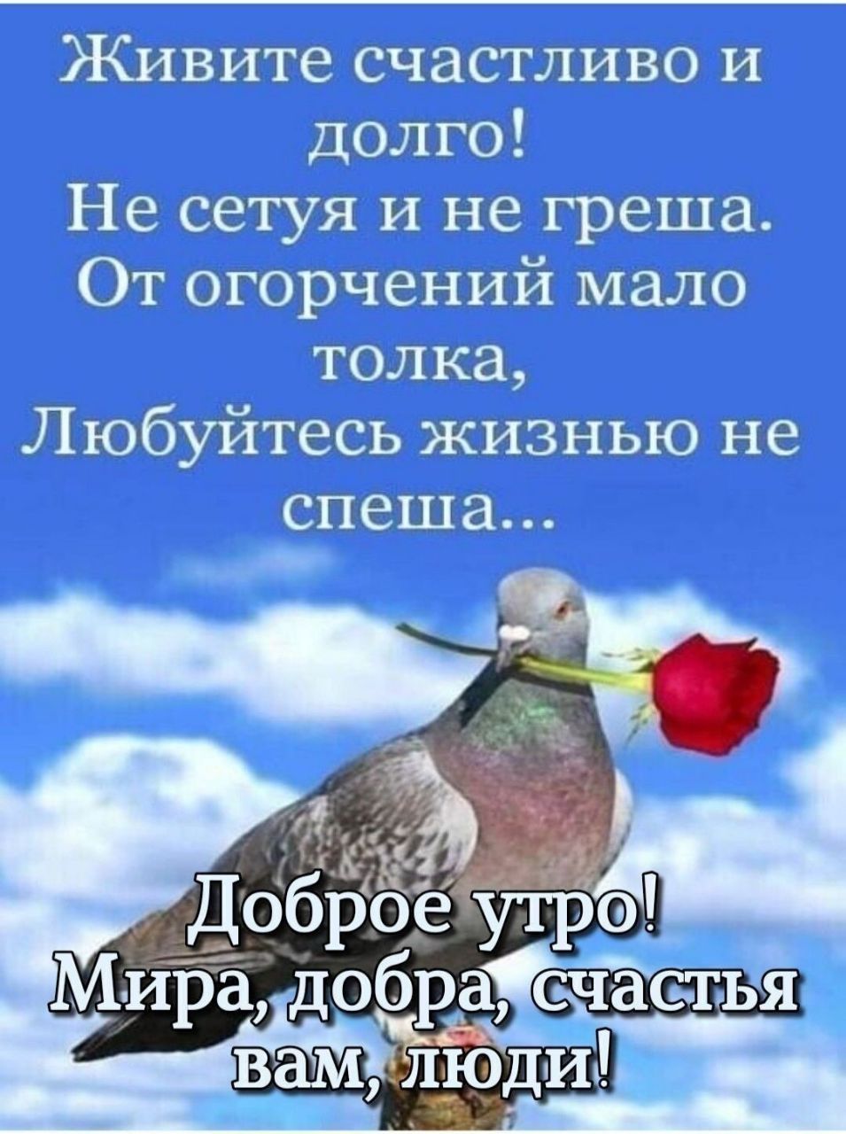 Доброе утр Мира добра