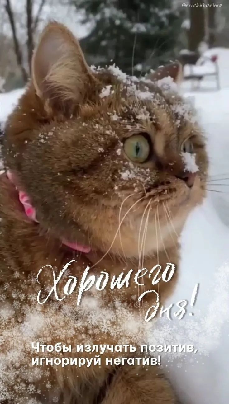 ируй негати