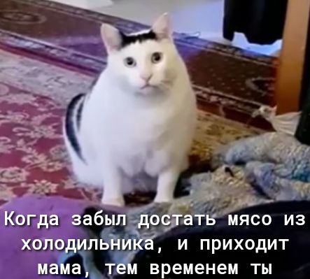 и приходит временем ты