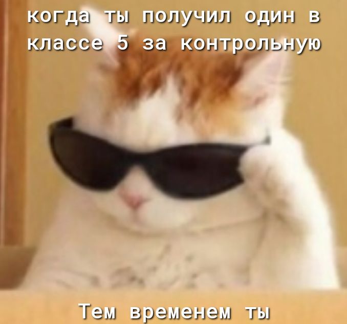 кагда ты пилу мл один а шаззз тг ьнуш
