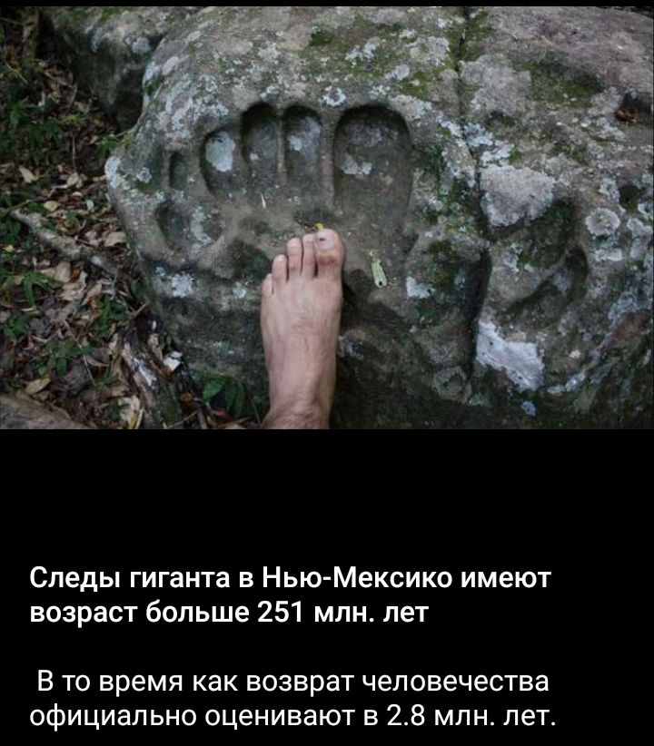 Следы гиганта в Нью Мексико имеют взирает бппьше 251 млн лет в то время как возврат человечества официально оценивают в 28 млн лет