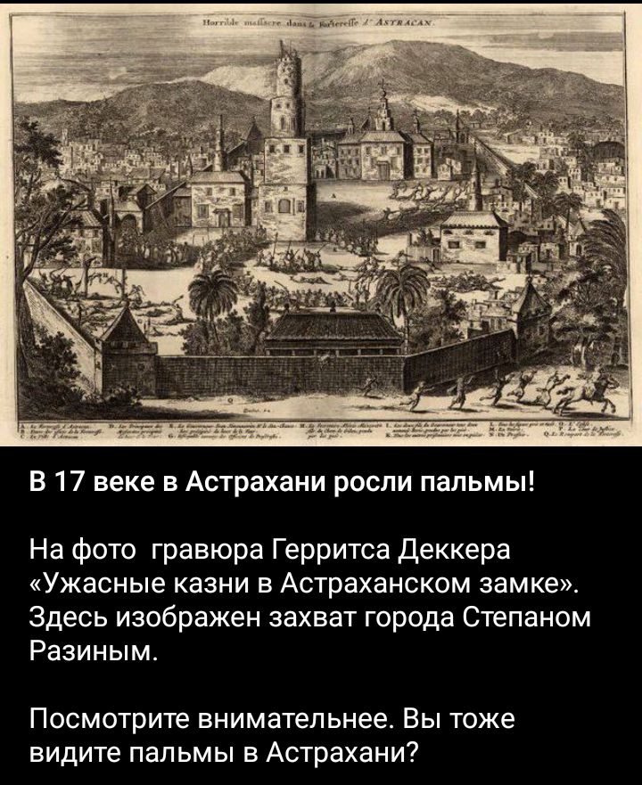 В 17 веке в Астрахани росли пальмы На фото гравюра Герритса деккера Ужасные казни в Астраханском замке Здесь изображен захват города Степаном Разиным Посмотрите внимательнее Вы тоже видите пальмы в Астрахани