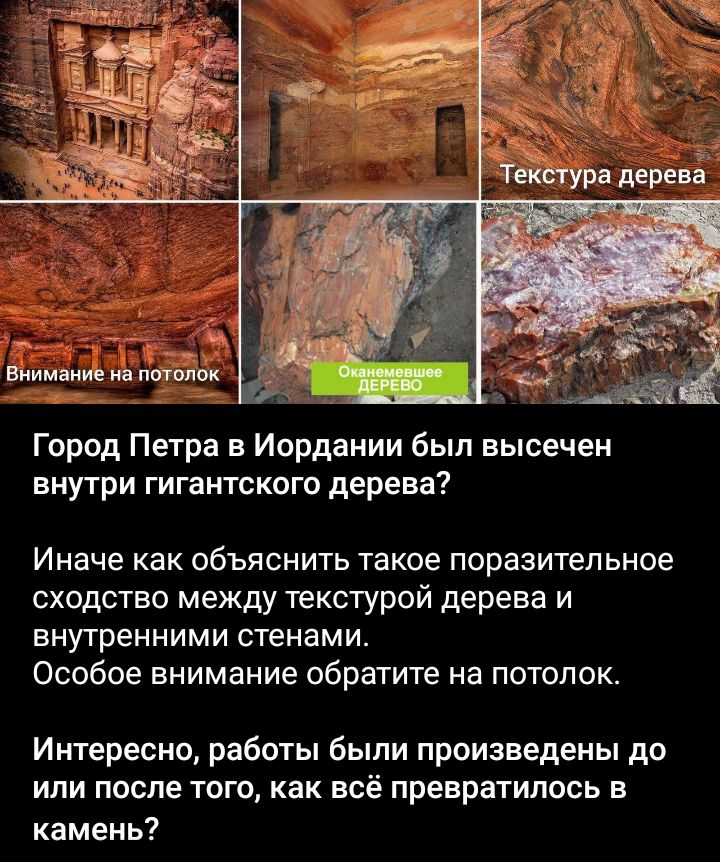 Биимпиие потолок Город Петра в Иордании был высечен внутри гигантского дерева Иначе как объяснить такое поразительное сходство между текстурой дерева и внутренними стенами Особое внимание обратите на потолок Интересно работы были произведены до ИЛИ ПОСЛЕ ТОГО Как всё превратилось в камень