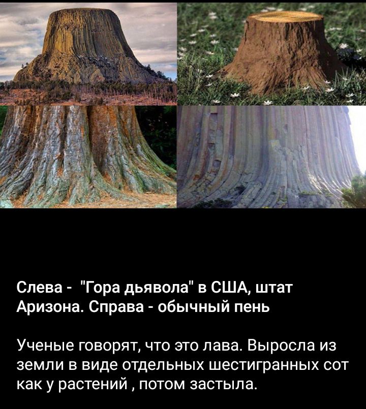 Слева Гора дьявола в США штат Аризона Справа обычный пень Ученые говорятчто это лава Выросла из земли в виде отдельных шестигранных сот как у растений потом застыла