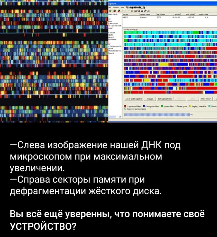 тучгг 1 инт т пот ЕЧ Дпгпгёитн п по т Ь Спева изображение нашей ДНК под микроскопом при максимальном увеличении _Справа секторы памяти при дефрагментации жёсткого диска Вы всё ещё уверенны что понимаете своё устройстве