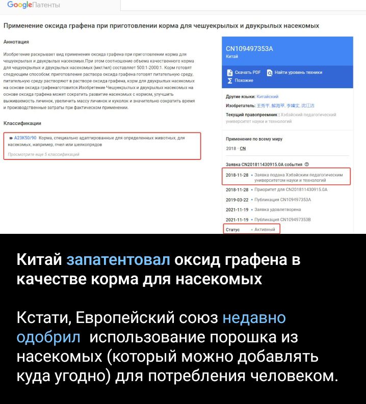 Китай зап тентовап оксид графена в качестве корма для насекомых Кстати Европейский союз недавно одобрил использование порошка из насекомых который можно добавлять куда угодно для потребления человеком