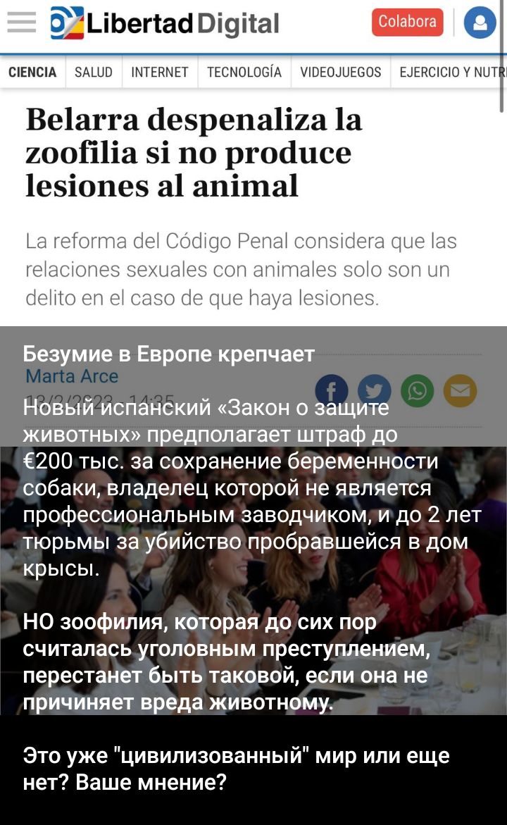 0ЪіЬегіааВі9ііа о шыш а мы щнцшыд щившыа Шшшшнш Веіапа іезрепаііиа 1а иооііііа зі по ргойцсе 1е5і0пе а1 апіша1 пн Безумие в Европе крепчает Новый испанский Закон о защите животных предполагает штраф до 6200 тыс за сохранение беременности собаки владелец которой не является профессиональным заводчиком и до 2 лет тюрьмы за убийство пробравшейся в дом крысы НО зоофилия которая до сих пор СЧИТЗПЗСЬ УГ