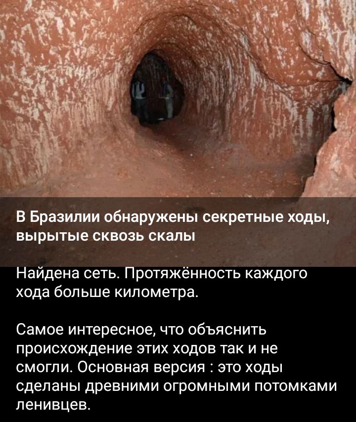 В Бразилии обнаружены секретиыеходы вырытые сквозь СКШЫ Найдена сеть Протяжённость каждого хода больше километра Самое интересное ЧТО ОбЪЯСНИТЬ происхождение этих ходов так и не СМОГЛИ Основная версия ЭТО ХОДЫ сделаны древними ОГРОМНЫМИ ПОТОМКЭМИ ленивцев