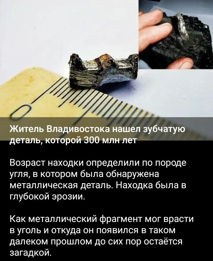 житель Владивостока шипел зубчатую деталь которой 30 млн лет Возраст находки определили по породе угля в котором была обнаружена металлическая ДЕТЗПЬ НЗХОДКЭ была В глубокой эрозии Как металлический фрагмент мог арест Е УГОЛЬ И ОТКУДЗ он появился В ТЭКОМ далеком прошлом до сих пор остаётся загадкой