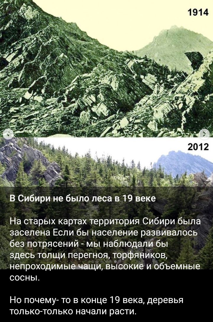 На старых картах территория Сибири была заселена Если бы население развивалось без потрясений мы наблюдалі бы здесь толщи перегноя торфяников непроходимышци вьясокие и объемные сосньь Но почему то в конце 19 века деревья только только начали расти