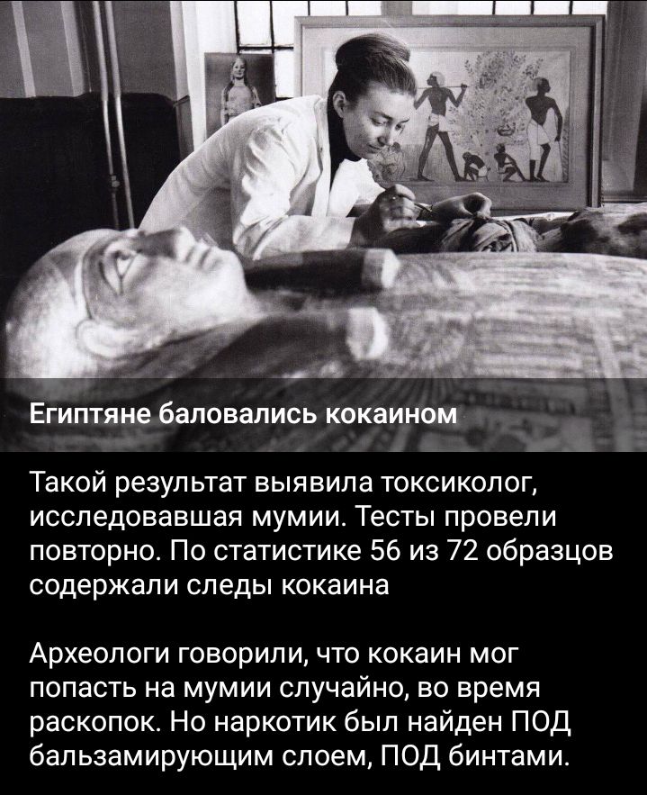 Египтяне баловались кокаином _ _1 Такой результат выявила токсиколог исследовавшая мумии Тесты провели повторно По статистике 56 из 72 образцов содержали следы кокаина Археологи говорили что кокаин мог попасть на мумии случайна во время раскопок Но наркотик был найден ПОД бапьзамирующим споем ПОД бинтами