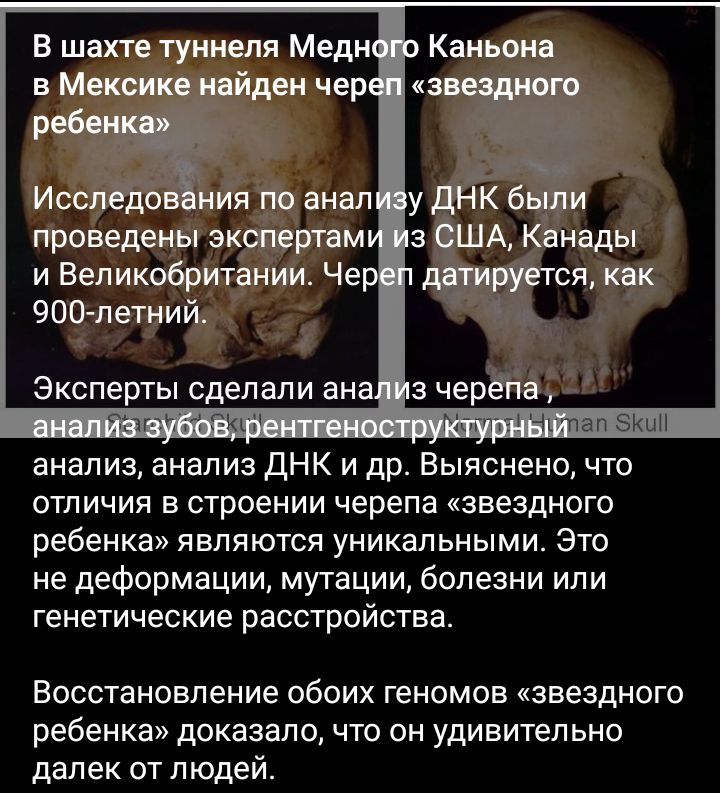 В шахте туннеля Медн в Мексике найден чер работат Исслёдов ния по анал проведены экспертам и Великобритании Че 900летний Эксперты сделали ана гиг і датируется как з черёПа тт т ч пап экшн анализ анализ дНК и др Выяснено что отличия в строении черепа звездного ребенка являются уникальными Это не деформации мутации болезни или генетические расстройства Восстановление обоих геномов звездного ребенка 
