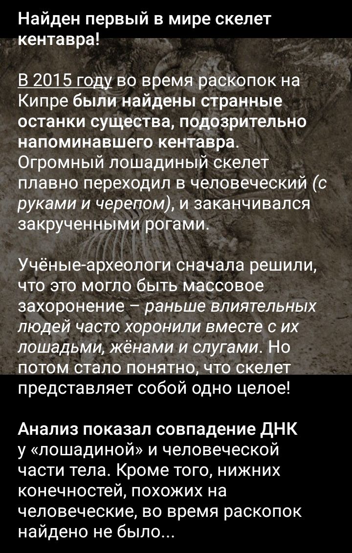 Найден первый в мире скелет кентавра В 2015 году во время раскопок на Кипре были найдены странные останки существа подозрительно напоминавшего кентавра Огромный лошадиный скелет плавно переходил в человеческий с руками и черепом и заканчивался закрученными рогами Учёные археологи сначала решили что это могло быть массовое захоронение раньше влиятельных людей часто хоронили вместе с их лошадьми жен