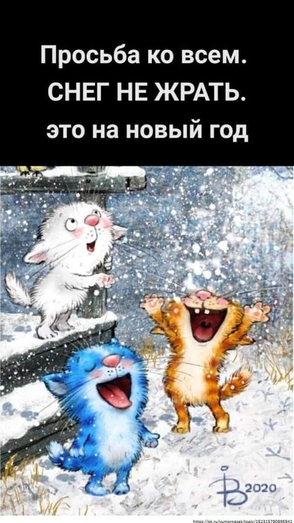 _ м ж Е н г Е Н с ЭТО на НОВЫИ ГОД м е с в о к а б ь с о Р П
