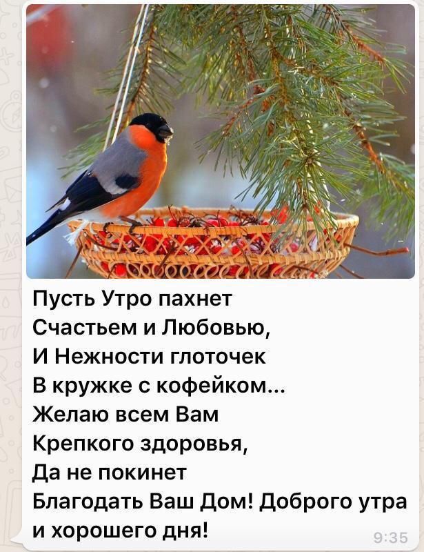 Пусть Утро пахнет Счастьем и Любовью И Нежности глоточек В кружке с кофейком Желаю всем Вам Крепкого здоровья да не покинет Благодать Ваш дом доброго утра и хорошего дня