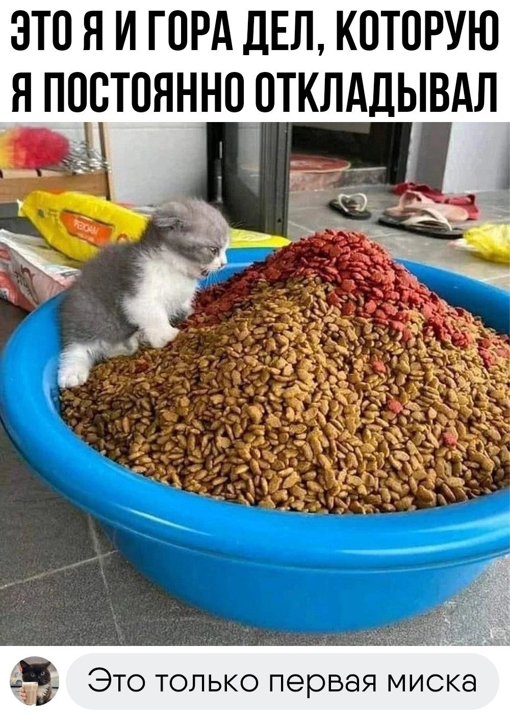 ЭТО Я И ГОРА ДЕЛ КОТОРУЮ 3 Это только первая миска