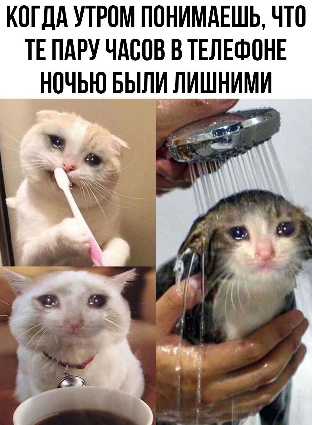 КОГДА УТРОМ ПОНИМАЕШЬ ЧТО ТЕ ПАРУ ЧАООВ В ТЕЛЕФОНЕ НОЧЬЮ БЫЛИ ЛИШНИМИ