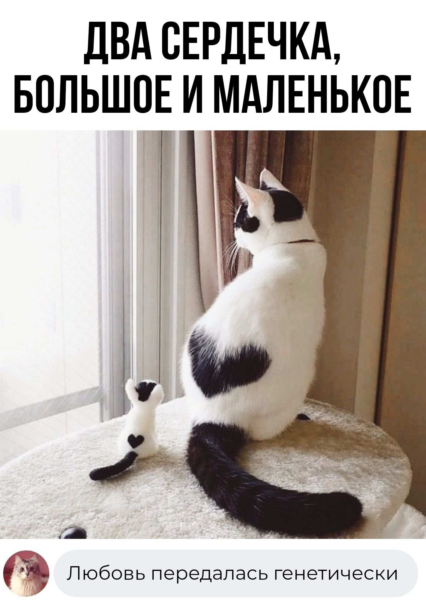 ПВА СЕРДЕЧКА БОЛЬШПЕ И МАЛЕНЬКПЕ