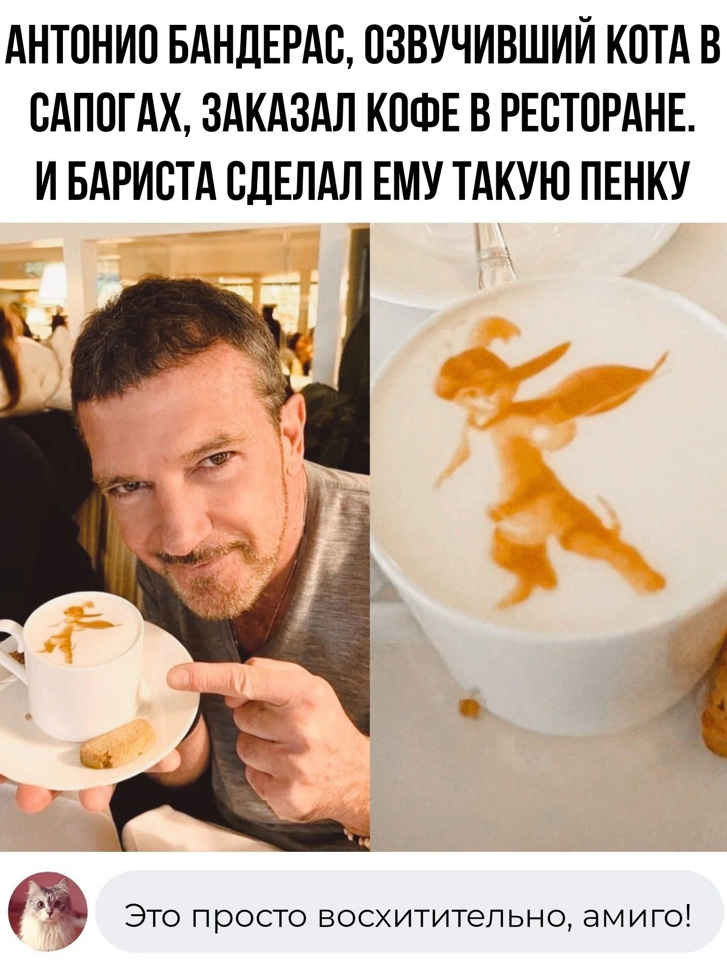 АНТПНИП БАНДЕРАВ ПЗВУЧИВШИЙ КОТА В САПОГАХ ЗАКАЗАЛ КПФЕ В РЕСТПРАНЕ И БАРИБТА СДЕЛАЛ ЕМУ ТАКУЮ ПЕНКУ ЧЁ Это просто восхитительно амиго