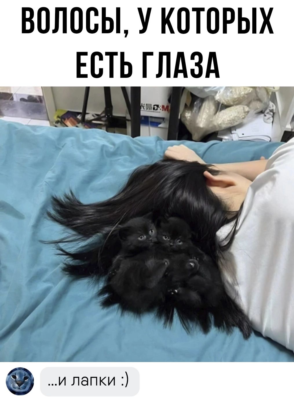 ВОЛОСЫ У КОТОРЫХ ЕСТЬ ГЛАЗА