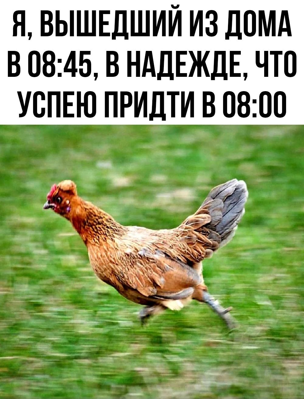 Я ВЫШЕДШИЙ ИЗ Д0МА В 0845 В НАДЕЖДЕ ЧТ0 У0ПЕЮ ПРИДТИ В 0800